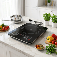 Table de cuisson à induction OEM/ODM, plaque vitrocéramique noire, cuisinière électrique, prix direct usine, usage domestique