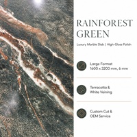 Dalle de pierre frittée polie vert Forêt Tropicale avec veinage doré pour comptoir, mur, sol, projet d'intérieur de luxe