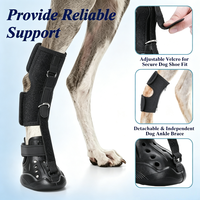 Attelle de protection réfléchissante à semelle rigide, directe usine, pour chien atteint d'arthrite et de douleurs articulaires, avec sangle de maintien pour pied tombant