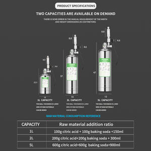 WYIN ZRDR 304 스테인레스 스틸 수족관 Diy Conjunto de cilindros 드 디옥시도 드 카보 노 콤 valvula solenoide de co2 - Product Image 3