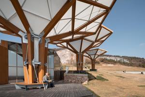 Materiales de Construcción de Bambú Moso al por Mayor de China, Materiales para Cabañas de Bambú para Jardín, Nuevos Materiales de Construcción - Product Image 4