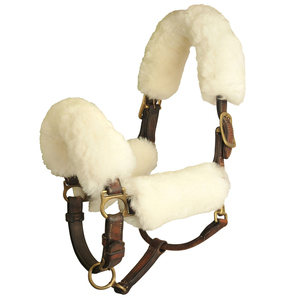 Cabestro de cuero suave con forro de piel para caballo, estilo inglés, con herrajes de latón de primera calidad, hecho de material PP. - Product Image 1