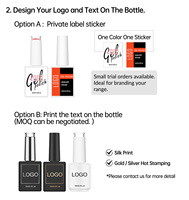 Gel Base et Gel Couleur 2-en-1 Salon Two Steps – 100 Couleurs – Application Facile et Rapide pour Salons de Manucure Professionnels – Vente en Gros Uniquement