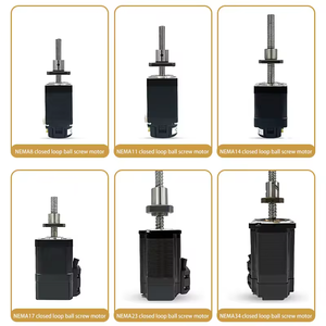 <b>Linear</b> Guides NEMA8 11 14 Ball Screws <b>Actuated</b> Integrated Screw Closed Loop Motor for Automation Robotic Arm - Product Image 2