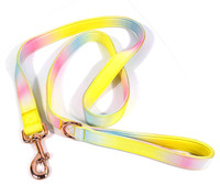 Correa para Perro Lunong Fashion con Degradado de Color Personalizado, Logotipo en Cinta, Clip de Liberación Rápida, Lavable a Máquina, Poliéster Duradero