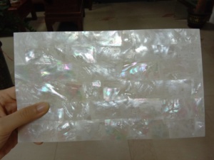 Natural純白Mexican <span class=keywords><strong>Paua</strong></span> Shellシート卸売ネイルアートステッカー - Product Image 3