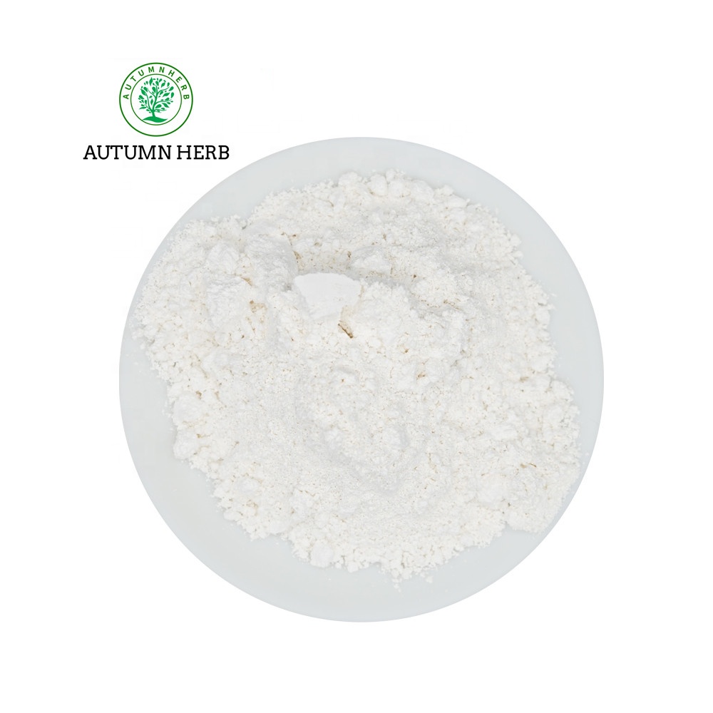 Food Grade GMS Fine Powder 31566-31-1 Glyceryl Monostearate