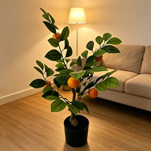 Vibrant Fresh <b>Potted</b> Citrus Fruit <b>Tree</b> with plump vivid fruits for supermarket display courtyard landscape living room - Product Image 4