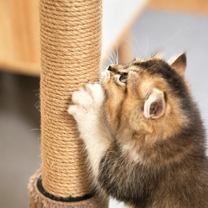 Rascador para <span class=keywords><strong>Gatos</strong></span> Estilo Palmera de Coco con Juguetes Interactivos, Árbol para <span class=keywords><strong>Gatos</strong></span> de Sisal Resistente para <span class=keywords><strong>Gatos</strong></span> de Interior, Torre Rascadora - Product Image 5
