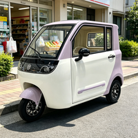 Tricycle Électrique à Trois Roues Neuf, Véhicule Énergétique, Tricycle Électrique Fermé pour Passagers, Prix de Gros