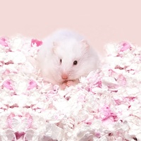Papel reciclado al por mayor, ratón, conejillo de indias, Chinchilla, erizo, conejo, degu, hámster, papel de cama para mascotas