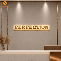 Lettres 3D rétroéclairées en acier inoxydable brossé or rose sur mesure avec base en acrylique pour enseigne de salon de beauté, enseigne de centre de médecine esthétique