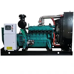 weichai power GAS generator plant 300KW natural gas generator CNG generator with CHP