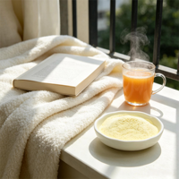 Poudre de jus d'orange naturelle instantanée de qualité supérieure pour boisson, poudre de fruits séchés par pulvérisation