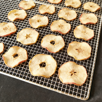 Plateau perforé en acier inoxydable et aluminium de 12 po x 17 po pour séchage de denrées congelées, cuisson du pain et refroidissement