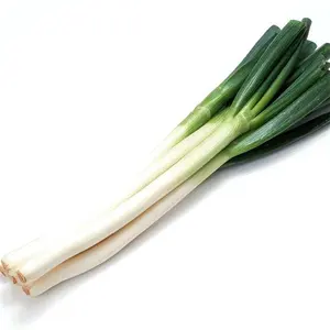 2P 3P 4P Chinese Spring Onion Fresh Vegetables Cheap Price Green Leek For Sale