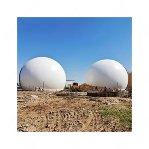 1000m3 double membrane biogas holder biogas refinery purification gasifier and electric generator system