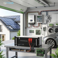 Paquete de Baterías LiFePO4 de 51.2V 100Ah para Montaje en Rack, Certificación CE UK OEM, Garantía de 10 Años, Sistema de Almacenamiento de Energía Solar Fuera de la Red con BMS