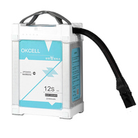 Batterie de drone intelligente 12S 16000mAh 22000mAh au lithium-ion en pochette, haute décharge pour la protection des plantes agricoles