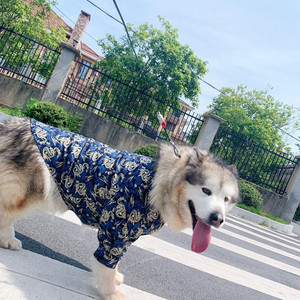 Kimono pour animaux de compagnie japonais avec cette chemise élégante unique Bulldogs, Malamutes d'Alaska, Golden Retrievers - Product Image 1