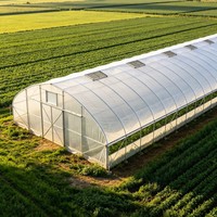 Serre en PE monocouche de grande taille 30 x 10 m avec système de ventilation pour la culture de fleurs et de plantes
