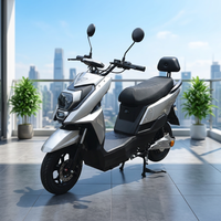 Nouveau modèle de trottinette électrique haute puissance 1000W 2000W 60V avec grands sièges pour adultes, pour la ville, avec carte NFC et pédale