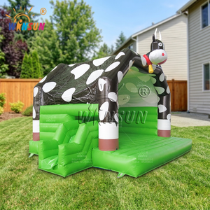 WINSUN Château gonflable semi-fermé de haute qualité pour fêtes, en PVC ignifuge, imperméable, sans plomb, certifié CE, personnalisable - Product Image 1
