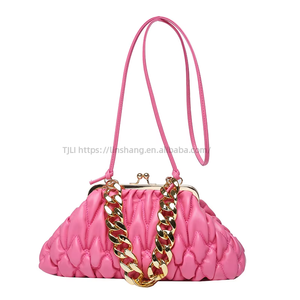 Winter Women's Embroidery <b>Chain</b> Shoulder Bag Popular New Fashion Trend Portable Zipper <b>Handbag</b>/Crossbody Purses Tanjing - Product Image 1