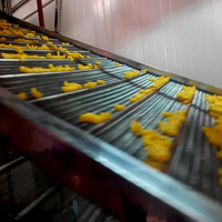 Machine automatique de fabrication de nouilles italiennes, ligne de fabrication de spaghettis, ligne de production automatique de pâtes et de macaronis commerciaux à vendre