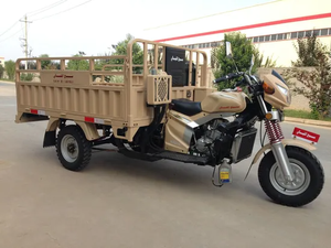 <span class=keywords><strong>Triciclo</strong></span>/Motociclo da Carico a Tre Ruote per Uso Agricolo e Domestico, con Cassone Ribaltabile, Esportazione Cina - Product Image 5