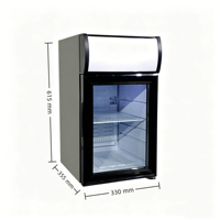 Réfrigérateur de comptoir NE-25CL-12 25L avec éclairage supérieur, porte vitrée, vitrine réfrigérée pour boissons