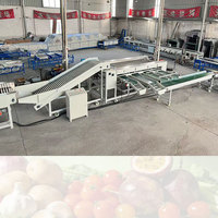 Hoge Kwaliteit Automatische Fruit- en Groente Sorteermachine Commerciële Ui Sorteermachine 304 RVS 2-10 Ton Capaciteit