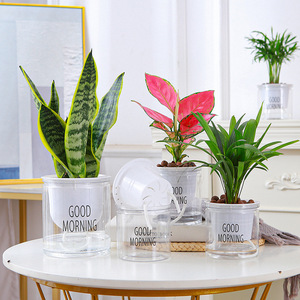 Maceta hidropónica transparente de plástico con absorción automática de agua para plantas verdes de escritorio, jardinería en casa - Product Image 2