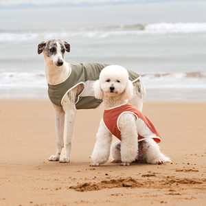 Nuevo Diseño de Ropa para Perros, Chaleco para Mascotas, Cómodo y Transpirable, Chaqueta Refrigerante para Perros Grandes - Product Image 1