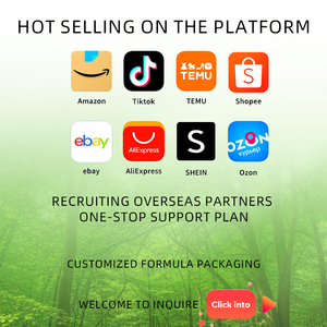 شاي خصوبة الرجال الصحي الطبيعي من الأعشاب العضوية لتعزيز القدرة الجنسية مع عشبة الماكا لتعزيز وظائف الرجال في أكياس شاي الكنوز الخمسة بالجنسنج - Product Image 5