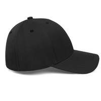 Groothandel Oxford Dobby Sport Petfles met aangepaste borduurlogo, hoge kwaliteit, 6-delige, onbedrukte baseballcap voor heren