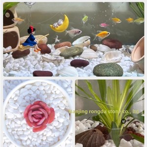 <span class=keywords><strong>Galets</strong></span> blancs naturels pour aménagement paysager, pierres blanches comme de la neige pour pavage de chemins et potage de plantes succulentes d'intérieur, vente en gros - Product Image 3