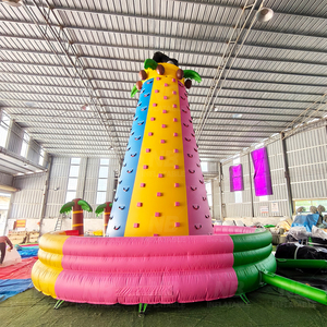 Muro de Escalada Inflable Tropical de 8 Metros, la Aventura Definitiva para Niños y Adultos en el Patio Trasero, Muro de Escalada Inflable - Product Image 6