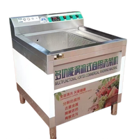 Laveuse d'ozonage écologique pour fruits et légumes, pour la transformation alimentaire biologique, usage commercial, grande capacité, compatible avec les noix