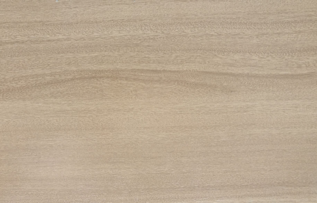 BL23-S49   บีแอล23-เอส49