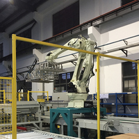 Machine d'emballage de palettiseur robotique Offre Spéciale polyvalente pour bouteilles, cartons, boîtes et caisses