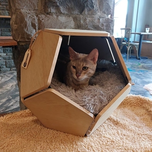 Nuevo diseño, cueva geométrica desmontable para mascotas, muebles de madera para mascotas para perros, gatos, jaula de madera de pino - Product Image 2