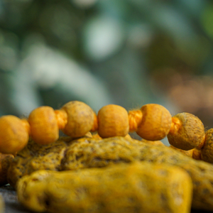 ลูกปัดไม้108 haldi JAP Mala สำหรับ pooja สวดมนต์หรือสวมใส่ลูกปัด2มม. ราคาขายส่ง - Product Image 2