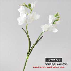 <span class=keywords><strong>Plante</strong></span> artificielle Real Touch <span class=keywords><strong>Hosta</strong></span> Lily - Fleurs artificielles en PU blanches pour la décoration de la maison, du bureau, centre de table - Product Image 6