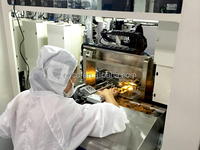 Écran à Cristal Liquide HTN LCD 12 Chiffres 100 Broches Tokheim Wayne Gilbarco Tatsuno Gda