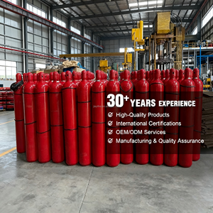 مدفع إطفاء حريق جيايي قابل لإعادة الشحن عالي السعة 10 كجم، طفاية حريق محمولة تعمل بثاني أكسيد الكربون مع ضمان 5 سنوات للمصانع - Product Image 6