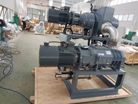 Unité de système de pompe à vide à vis sèche 1200L/S pompe à vide haute qualité pour l'industrie chimique