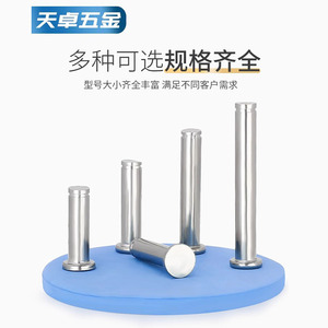 Goupilles rainurées à tête plate Tianzhuo Hardware en acier inoxydable 304 M3 M4 M5 M6 M8 M10 M12 pour l'industrie de la construction - Product Image 4