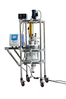 Réacteur en verre à double paroi à ultrasons de laboratoire 5L, Cavitation ultrasonique, Agitation, Chauffage, Refroidissement, Cuve de réaction en verre