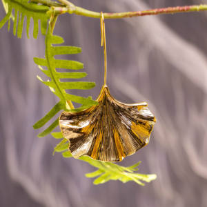 Boucles d'oreilles en alliage de cuivre plaqué argent, style bohème rétro simple, feuille de ginkgo au crochet, design irrégulier exagéré, pour femmes - Product Image 5